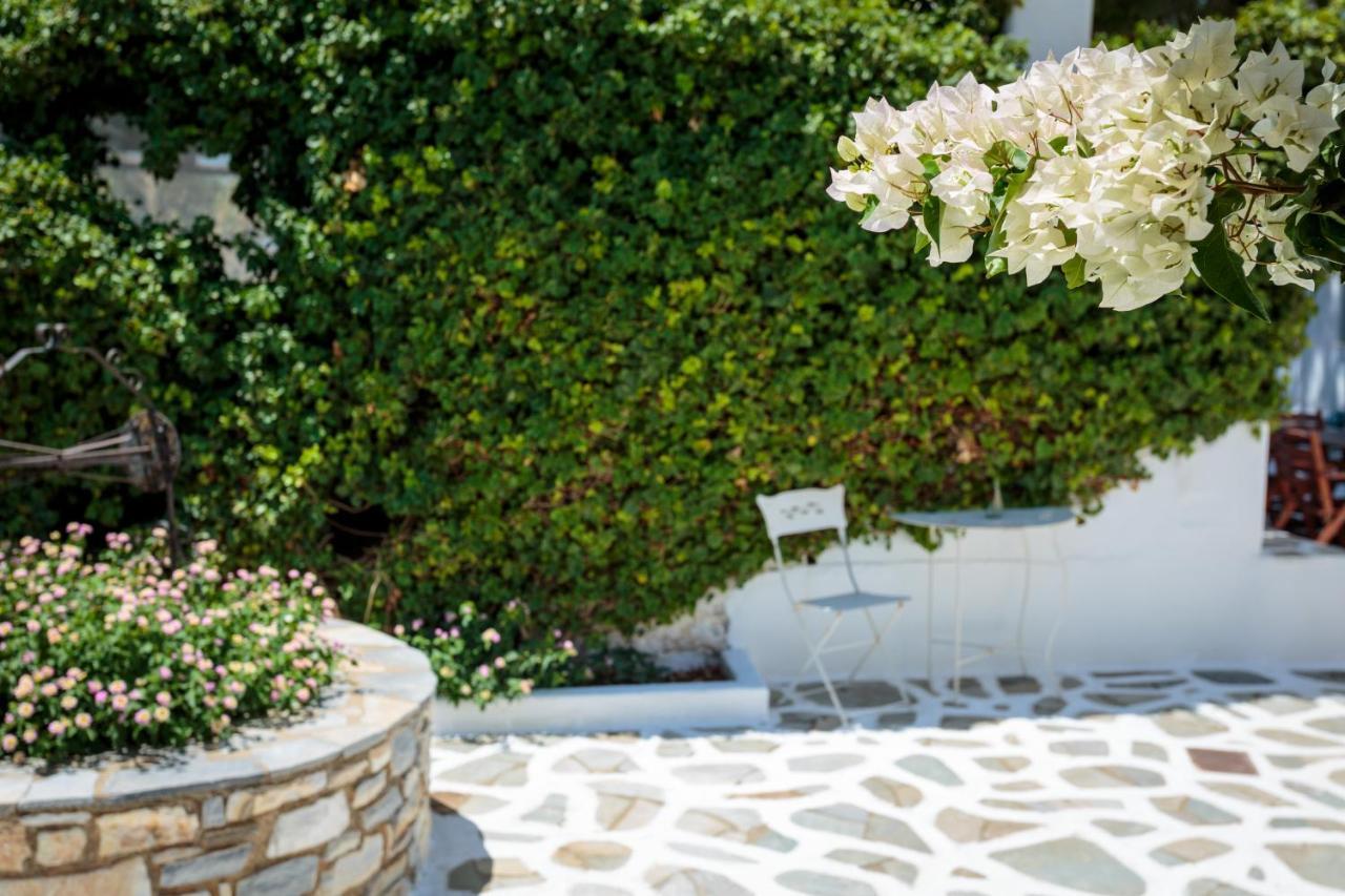 חריסי אקטי Tzane Studios & Apartments - Steps Away From Golden Beach מראה חיצוני תמונה