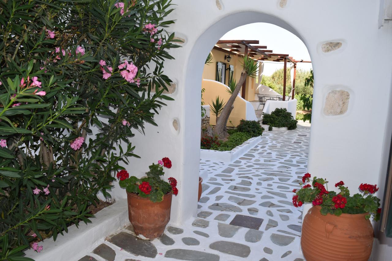 חריסי אקטי Tzane Studios & Apartments - Steps Away From Golden Beach מראה חיצוני תמונה