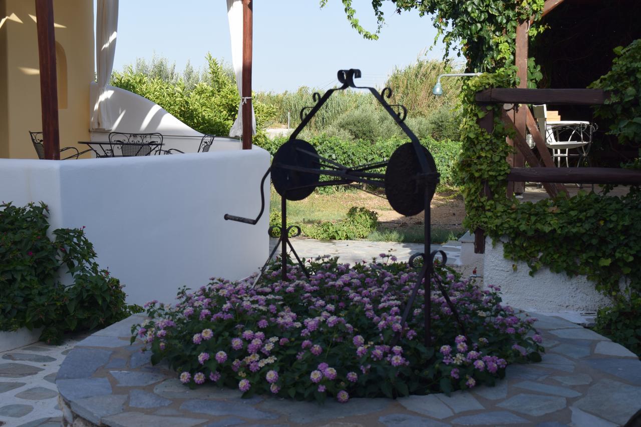 חריסי אקטי Tzane Studios & Apartments - Steps Away From Golden Beach מראה חיצוני תמונה